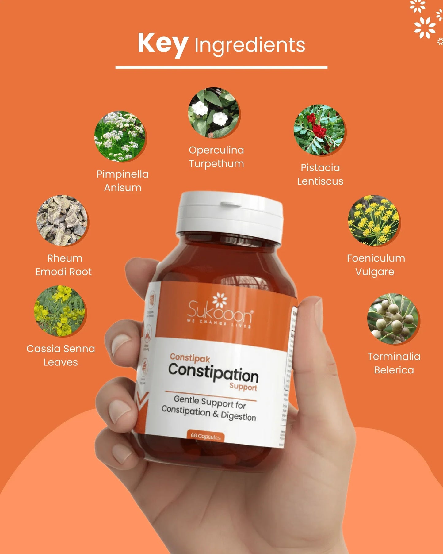 Constipak | Daily Digestive Care