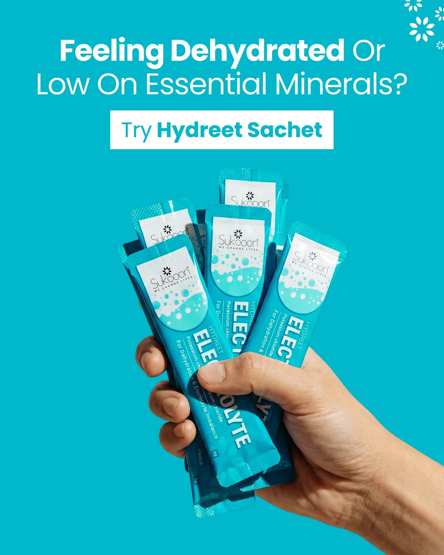 HYDREET Electrolytes (Potassium+ Sodium) Sachet by Sukooon 10's