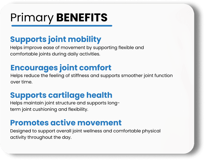 FLEX-ON | For Joint Pain & Mobility